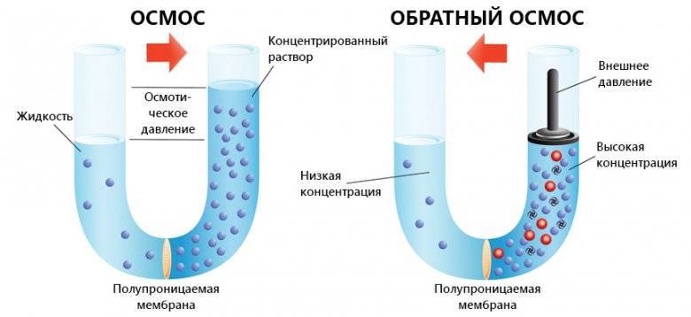 Что такое осмос: принцип действия, как работает, недостатки, минерализация воды