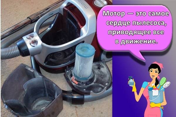 Советы — как пользоваться моющим пылесосом, правила эксплуатации и ухода