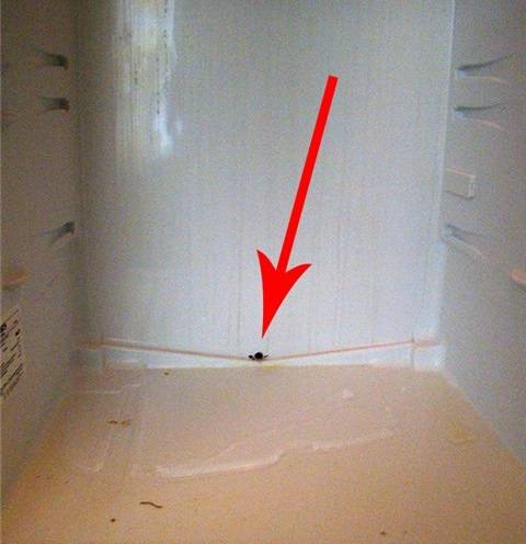 Конденсат в холодильнике — что при этом делать и как устранить?
