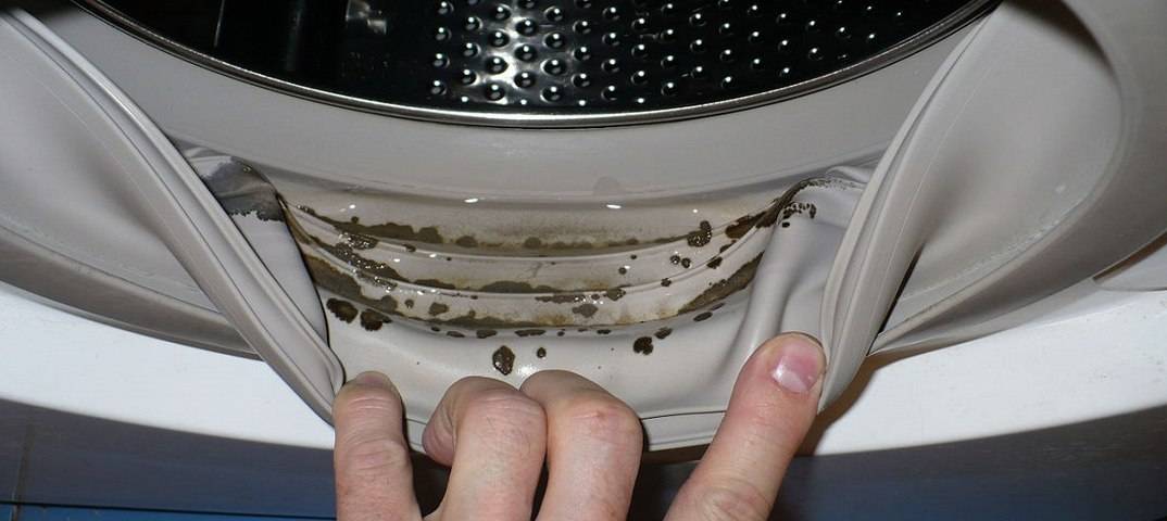 Черная плесень в стиральной машине: как от нее избавиться?