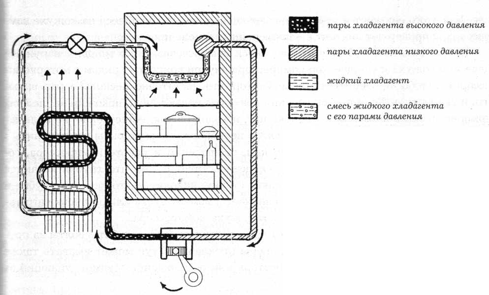 Электрическая схема холодильника: устройство и принцип работы бытовых холодильников