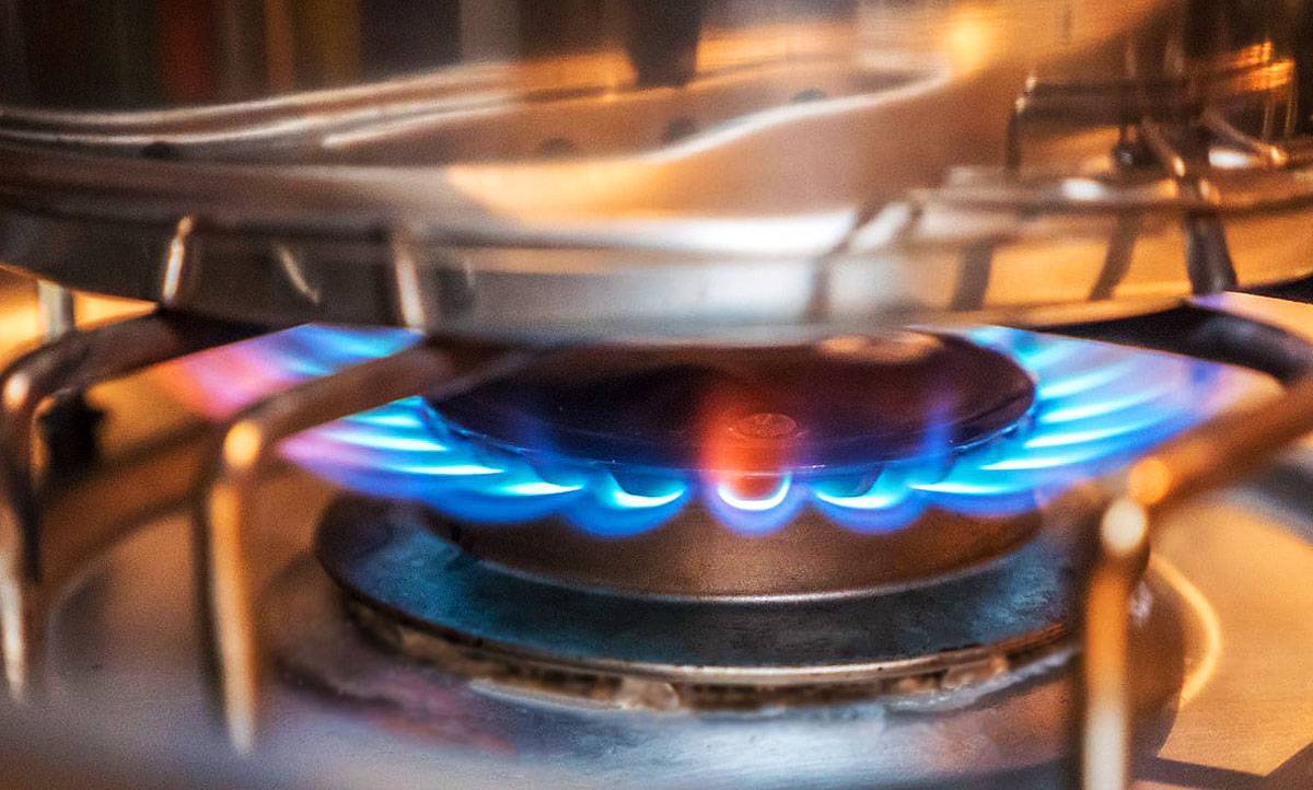 Ремонт газовой плиты gorenje: распространенные поломки и способы их устранения