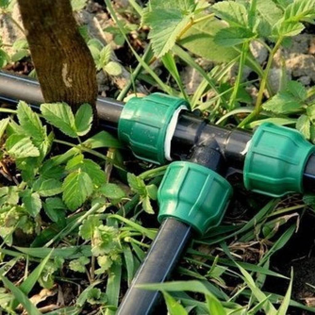 Капельный полив своими руками из полипропиленовых труб - узнайте, как сделать!