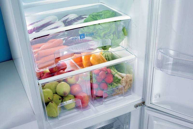 Можно ли хранить морковь в холодильнике и почему она вянет?