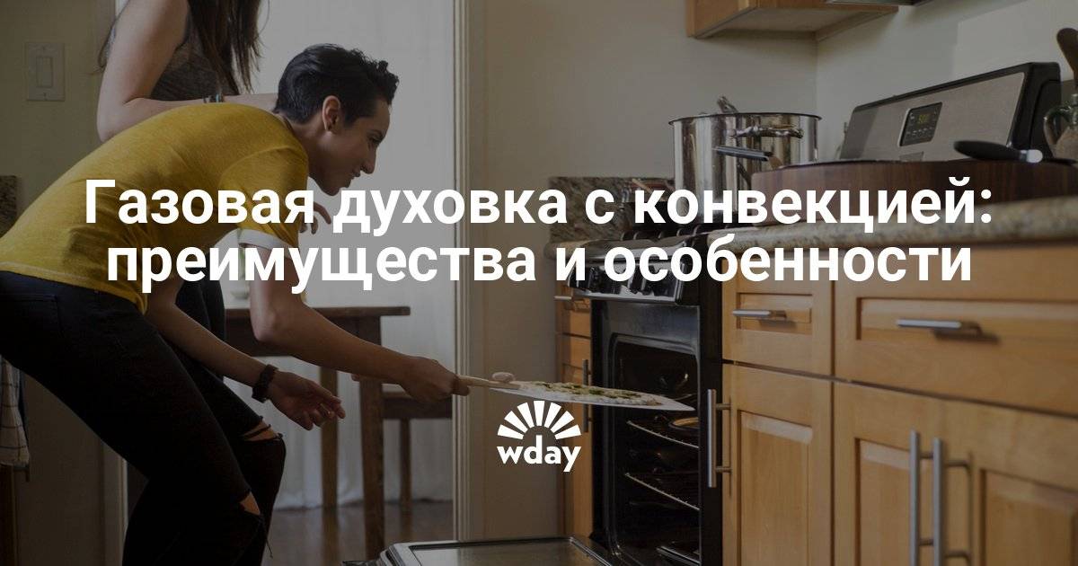 Конвекция в духовке: что это такое, полезность данной функции
