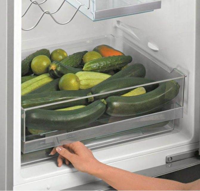 Как заморозить овощи на зиму в холодильнике