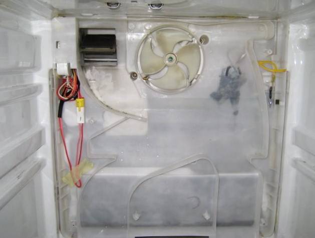 После разморозки холодильник не охлаждает а морозилка работает: не включается, не морозит, почему перестал, разморозилась морозильная камера, причина