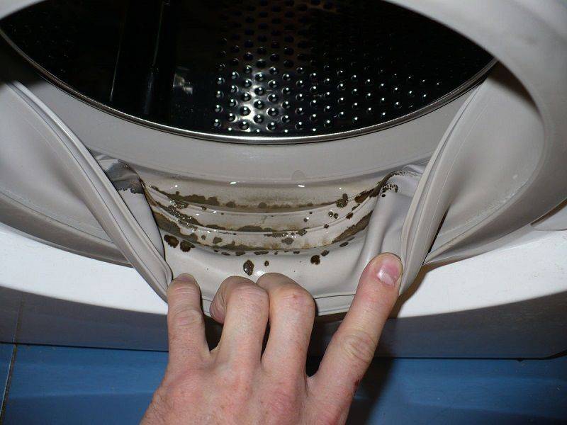Плесень в стиральной машине, как избавиться: народные и химические стредства