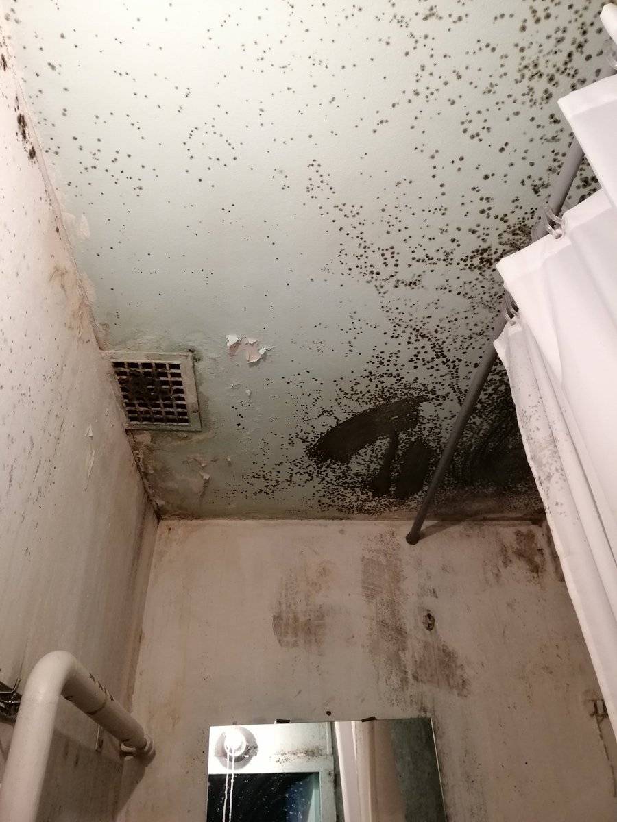 Какой сосед снизу. Затопили квартиру соседи сверху. Затопило квартиру. Затопление квартиры соседями. Затопили потолок в ванной.