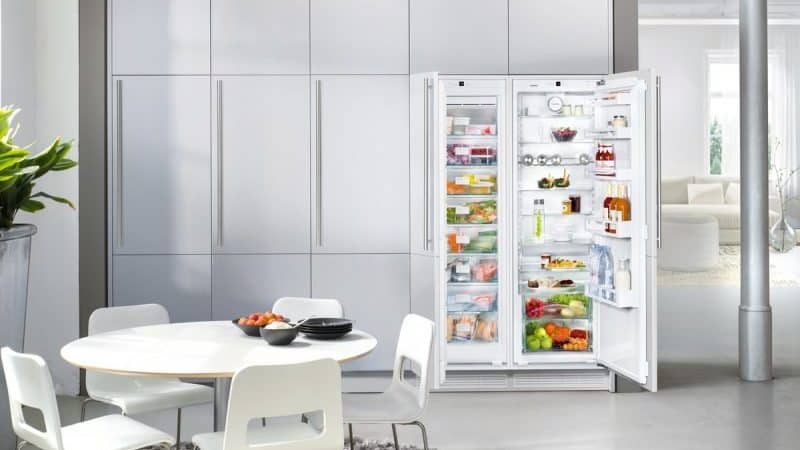 Встраиваемые холодильники: рейтинг, обзор лучших моделей, характеристики, советы по выбору и отзывы о производителях