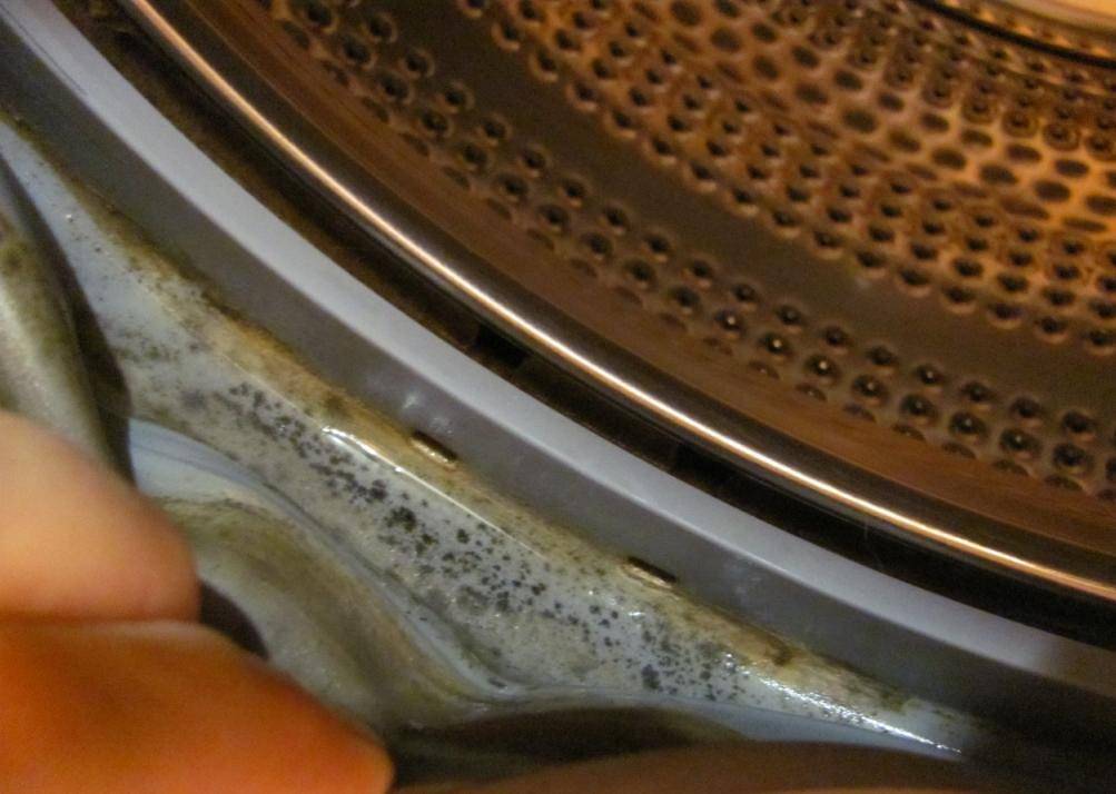 Плесень в стиральной машине — как избавиться: 2 простых метода