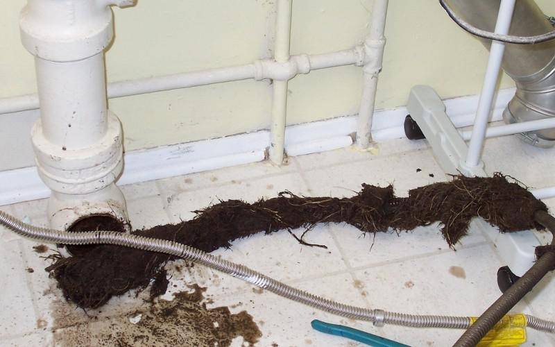 Запах из канализации в частном доме или квартире: что делать, как устранить - гидканал