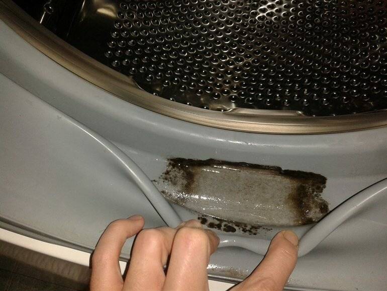 Плесень в стиральной машине: как избавиться раз и навсегда