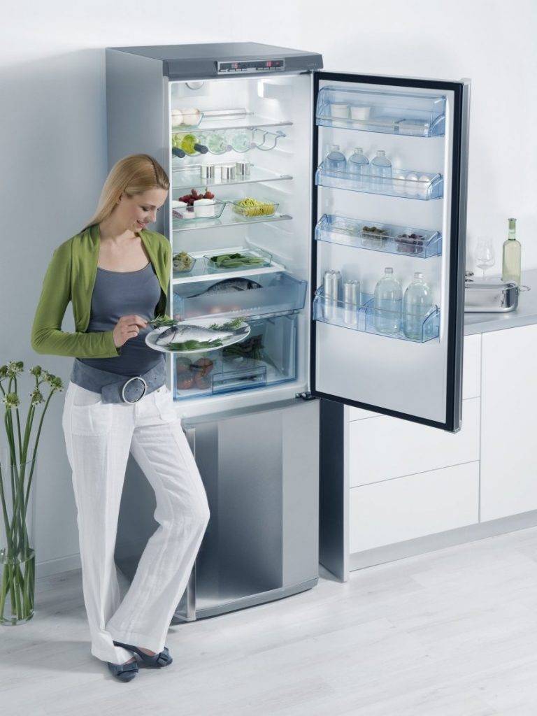 17 лучших холодильников с системой no frost - рейтинг 2021 года (топ на январь)