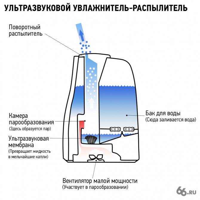 Мойка воздуха или увлажнитель: что лучше выбрать?