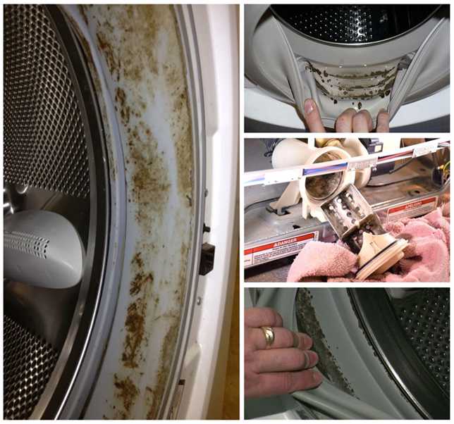 Как избавиться от плесени в стиральной машине — причины появления плесени