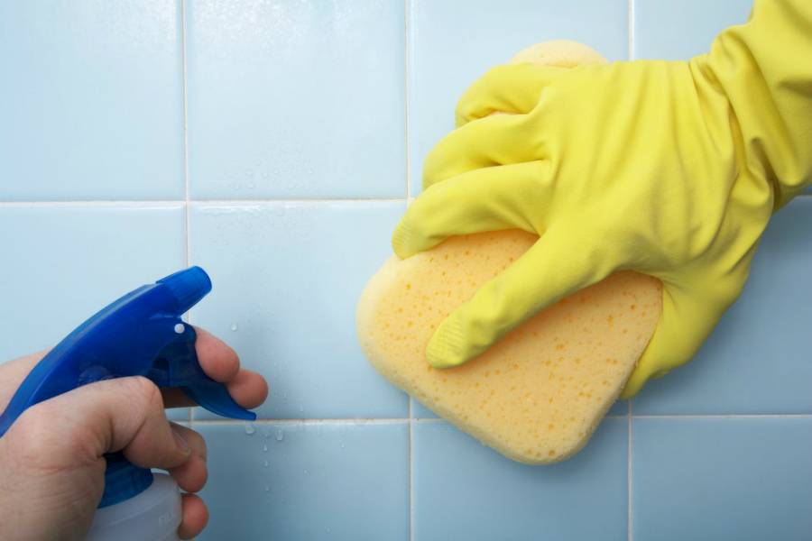 Как убрать грибок в ванной: обзор лучших способов удаления грибка