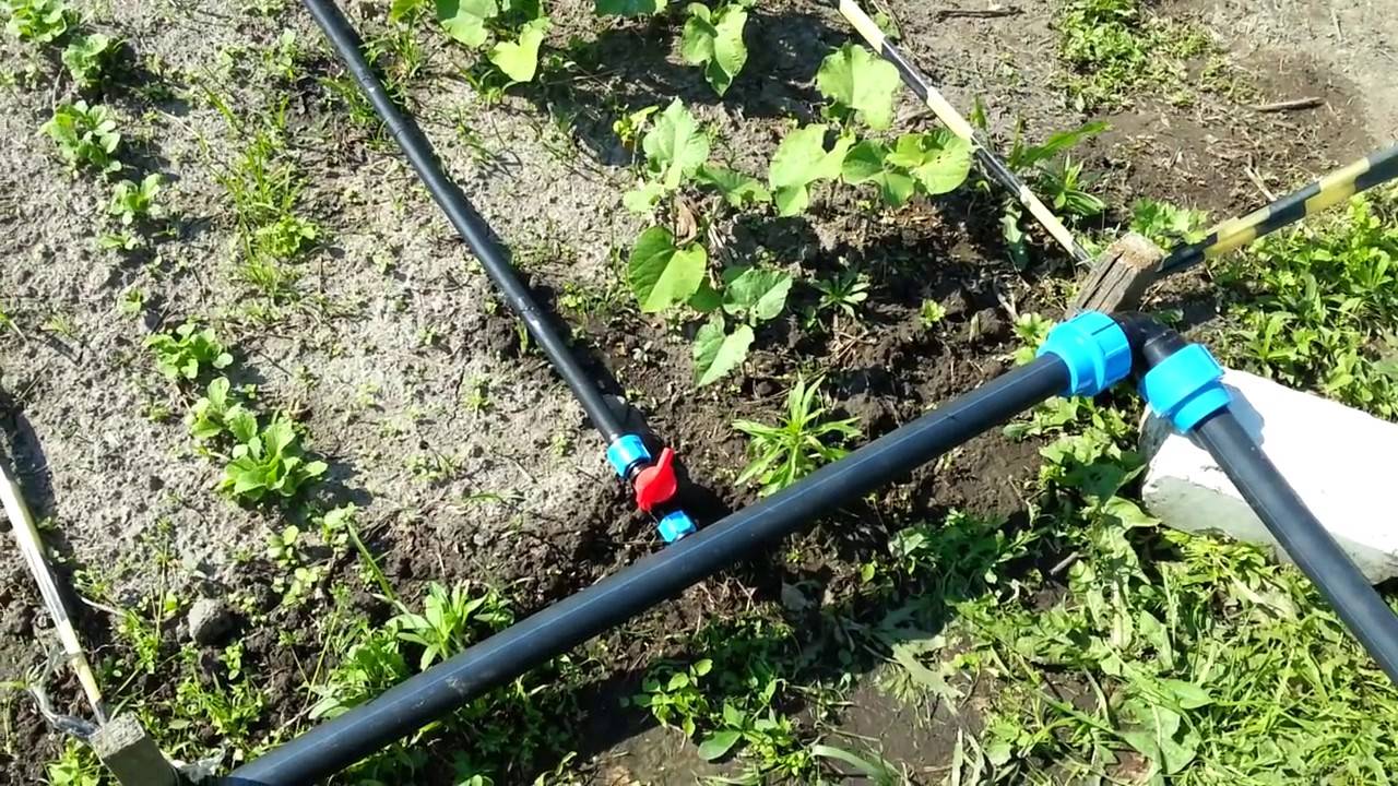 Трубы для полива огорода на даче: выбор, фото и видео монтажа